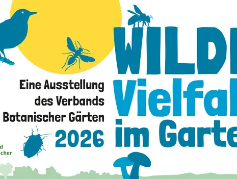 Wild Diversity in the Garden
