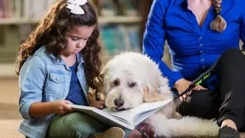 Reading to the Rescue