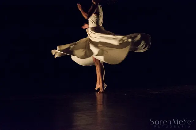 Longevity Ballet 60+