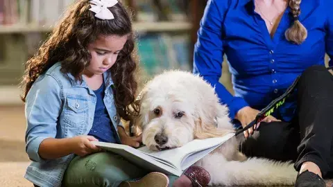 Reading to the Rescue: Read to a Therapy Dog