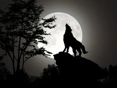 DIY Hands-On Wednesday: Werewolves of Düsterwald