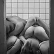 Meat Market
