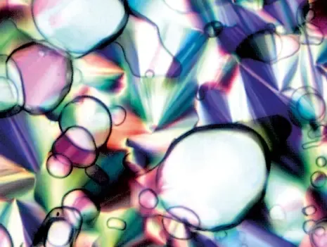 New Approaches in Biomedicine