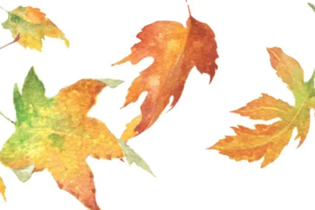 Weekend Workshop | Autumn Leaves and Fruit in Watercolor Workshop with Linda Gist