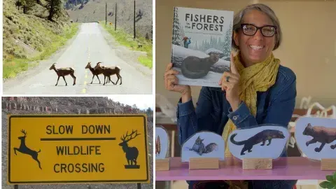 LA Nature Quest 2026: Wildlife Crossing Engineering Challenge
