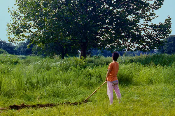 Robinson's Garden