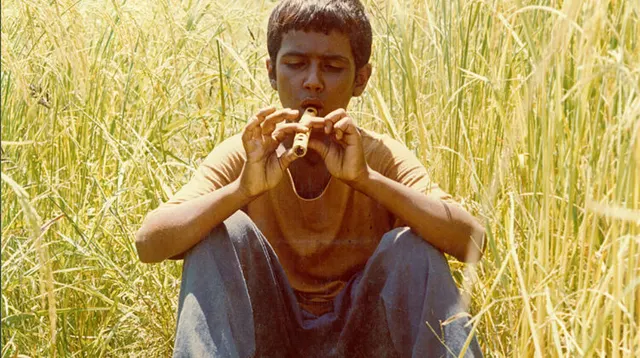 Bashu, the Little Stranger