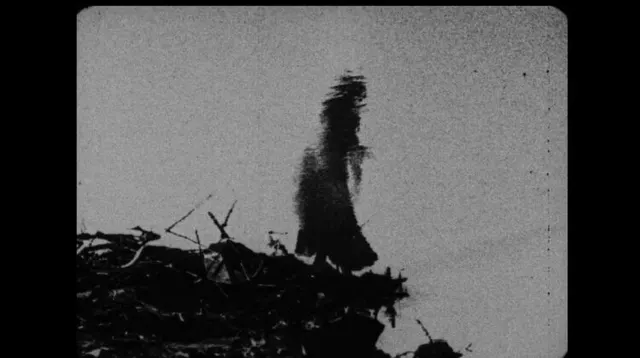 Begotten
