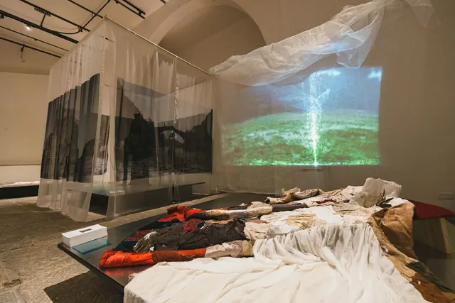 IED Istituto Europeo di Design — Pathos Formulas