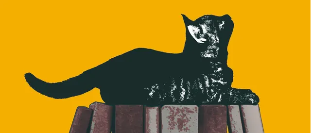 FELINO - Festa Literária da Norte