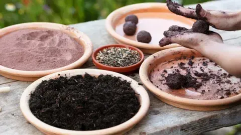 Guerrilla Gardening