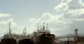 Glass Bottom Ferry. Sobre fronteras y utopías sumergidas