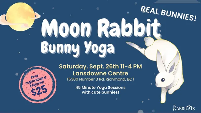 Moon Rabbit Bunny Yoga