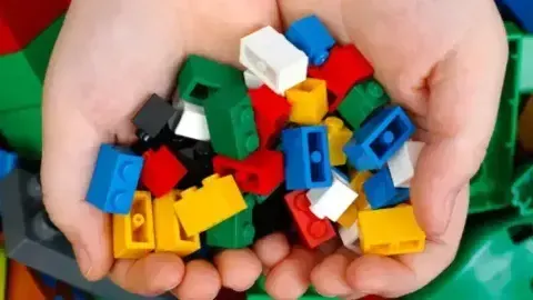 LEGO® Bricks Build and Play
