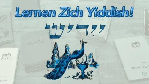Let's Learn Yiddish