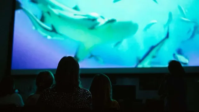 Pianeta Mare Film Lab