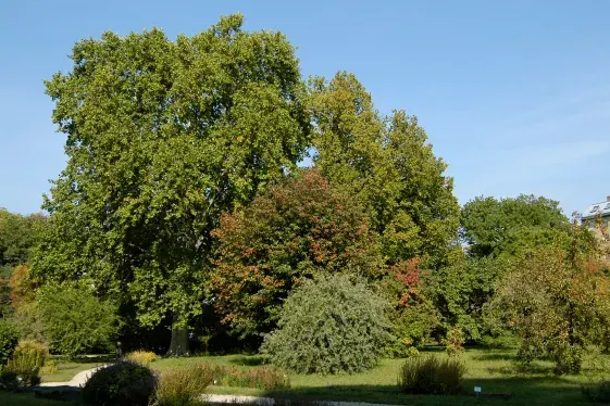 Im Fokus: Zusammenwachsen. Belvedere x Botanischer Garten