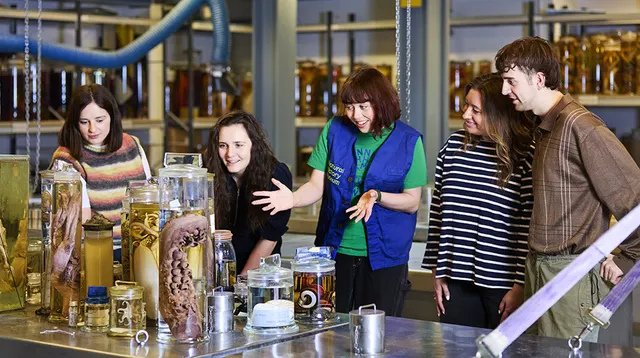 Behind The Scenes: Zoology Spirit Collection Tour