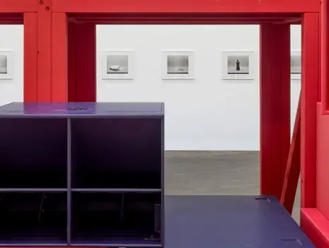 Photographic Perspective