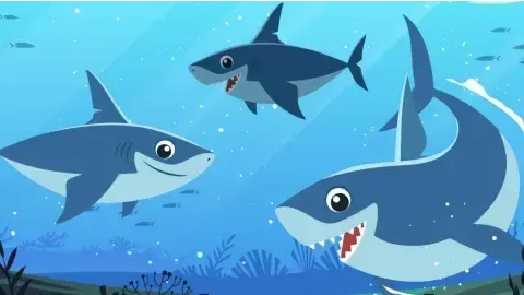 Shark Gadgets