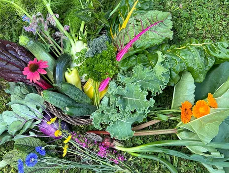 Experience the Diversity of Crops Through the Senses