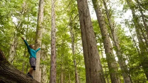 How to Solve the Climate Crisis in 60 Minutes