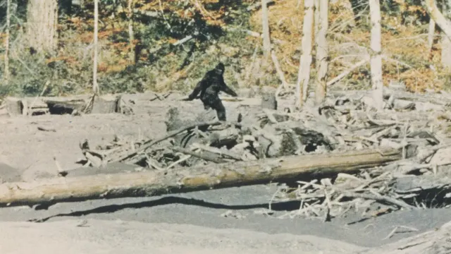 Capturing Bigfoot