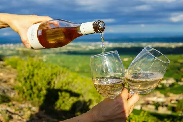 Wine Hike