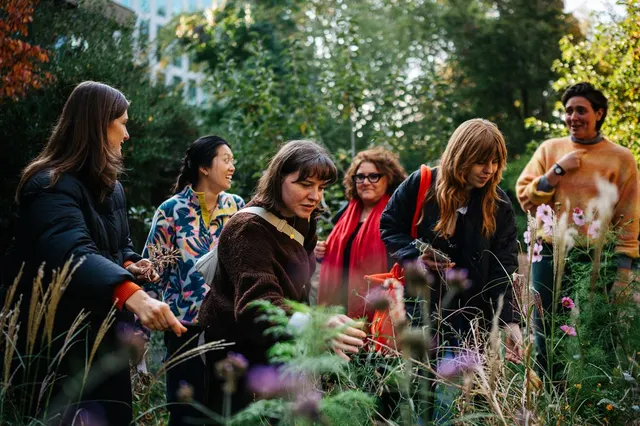 Gardens: Curiosity and Creative Research